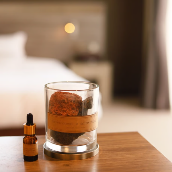 セインムー ルームディフューザー・パルファム・ドゥ・シャンブル 香水ノム ドゥ セインムー