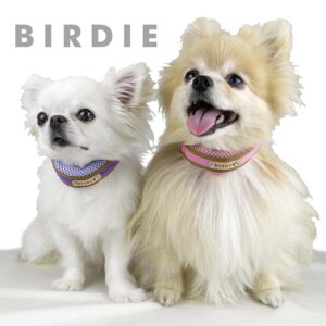 ラッセルクッションワンタッチカラー【BIRDIE（バーディ）小型犬用首輪】S